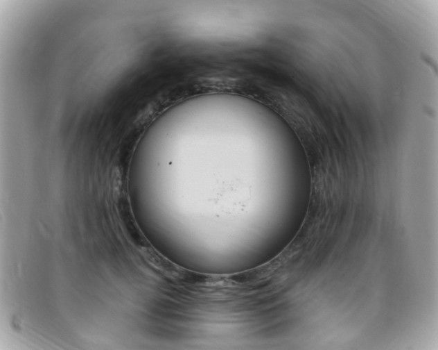 X0000095910752200801110827
