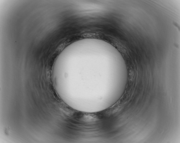 X0000095910753200801110827