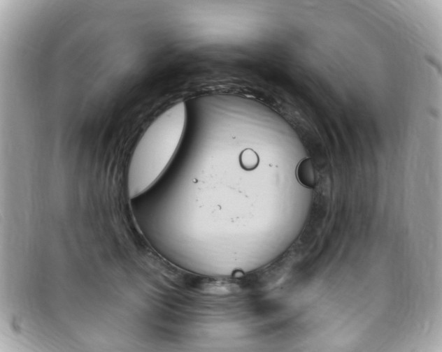 X0000095910754200801110827