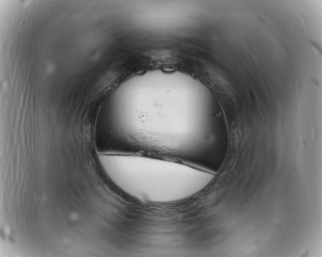 X0000095910756200801110827