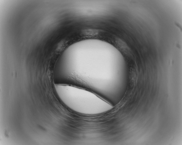 X0000095910758200801110827