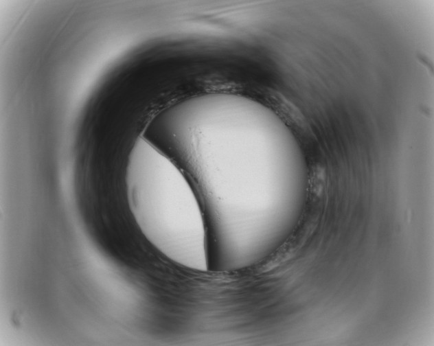 X0000095910763200801110827