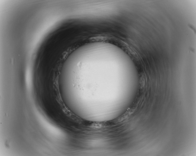 X0000095910764200801110827