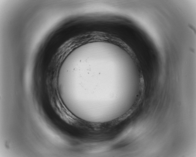 X0000095910765200801110827