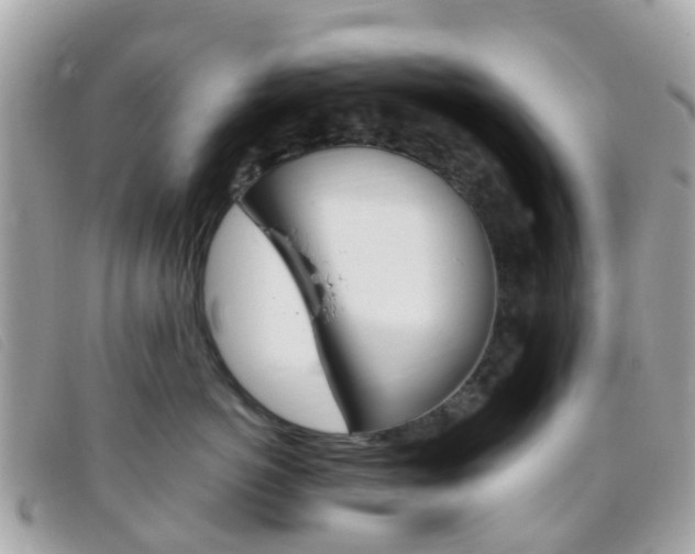 X0000095910766200801110827