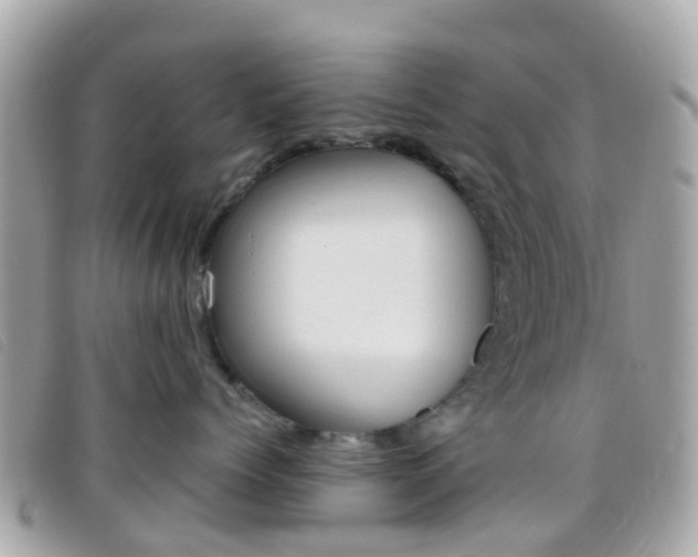 X0000095910768200801110827