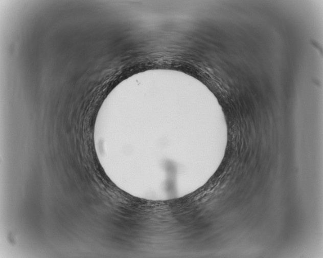 X0000095910769200801110826