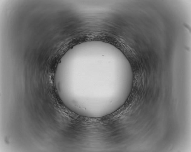 X0000095910770200801110826