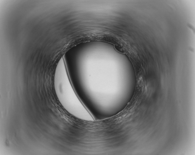 X0000095910772200801110826