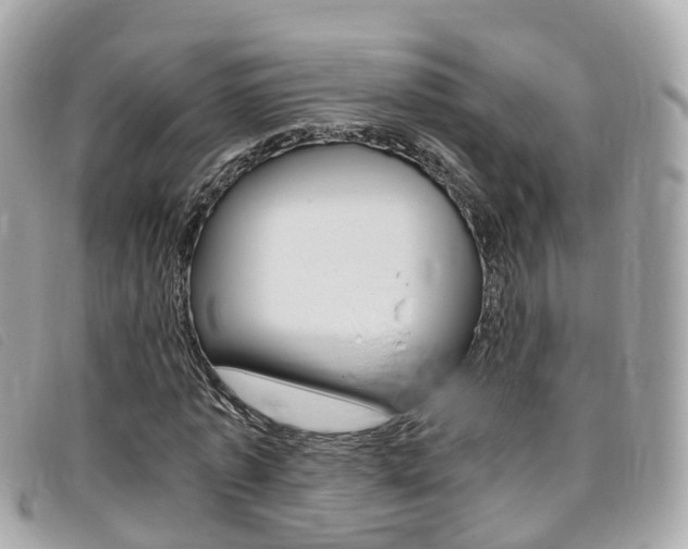 X0000095910773200801110826