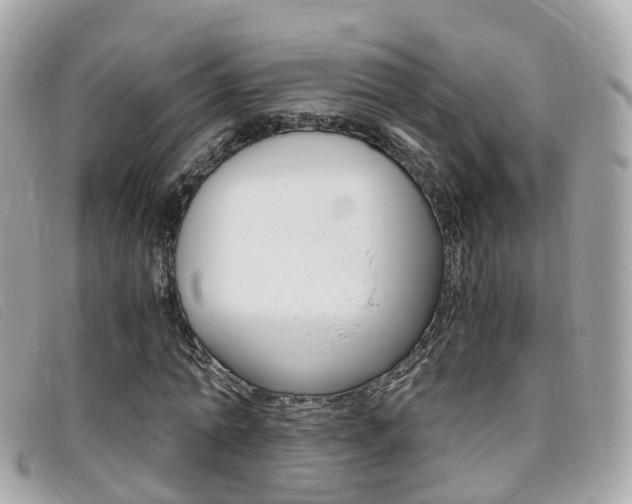 X0000095910774200801110826