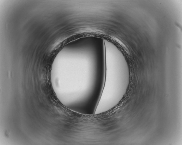 X0000095910775200801110826