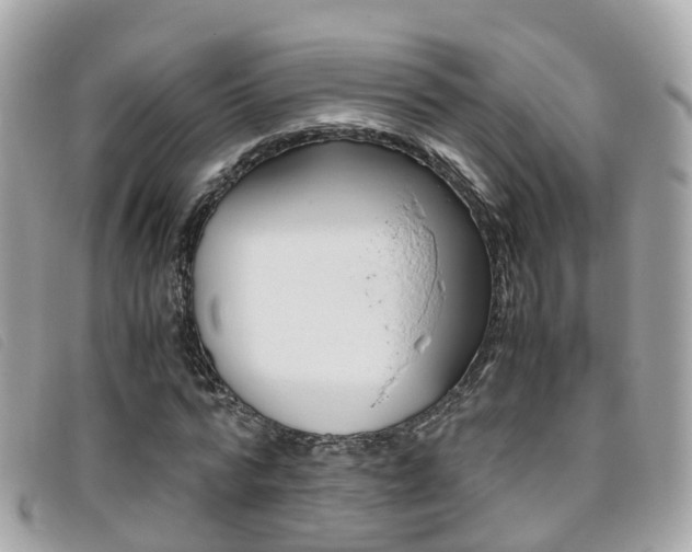 X0000095910776200801110826