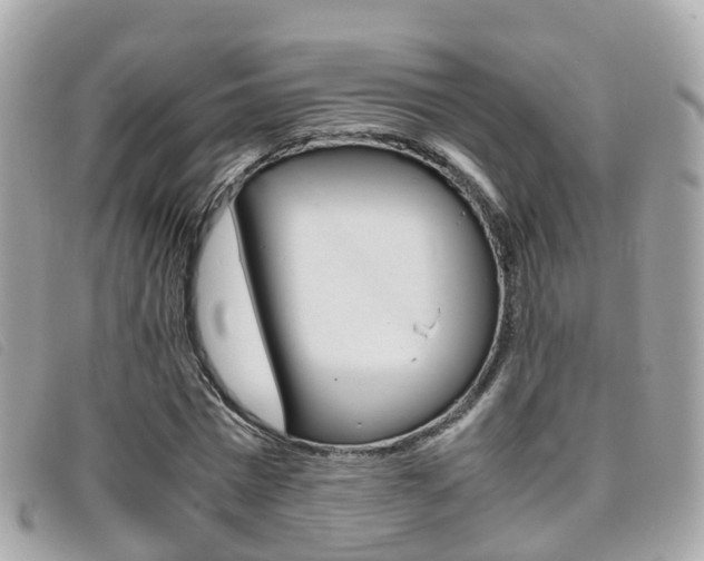 X0000095910777200801110826