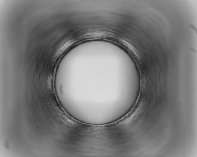 X0000095910778200801110826