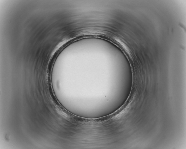 X0000095910779200801110826