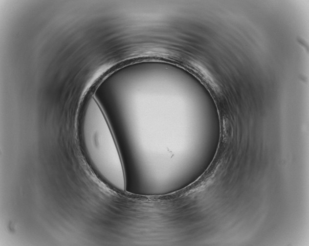 X0000095910780200801110826