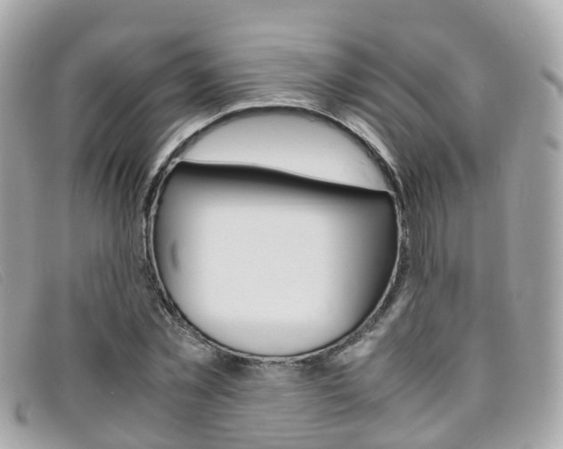 X0000095910781200801110826