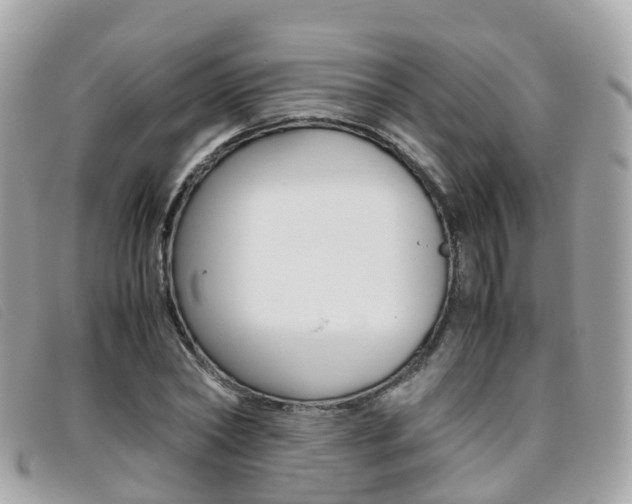 X0000095910782200801110826