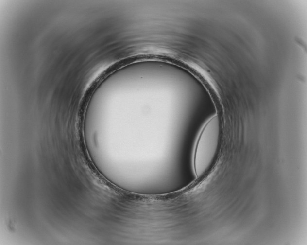 X0000095910783200801110826