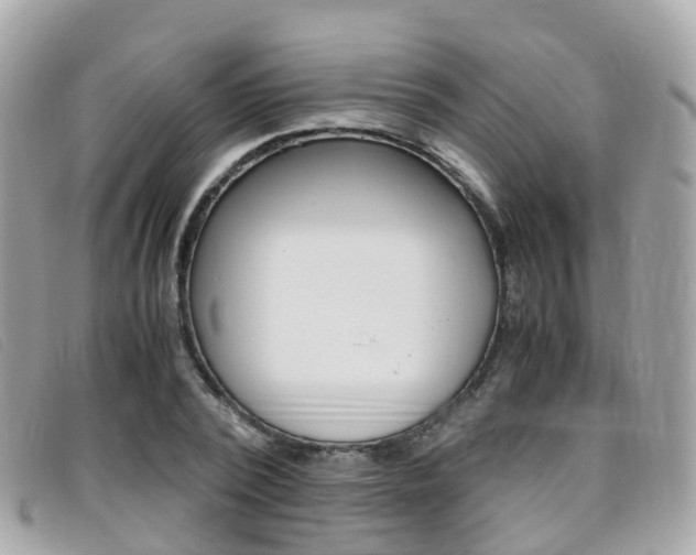 X0000095910784200801110826