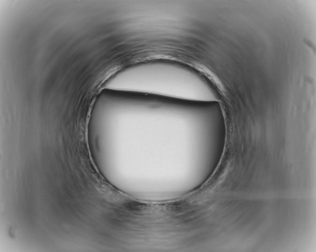 X0000095910785200801110826