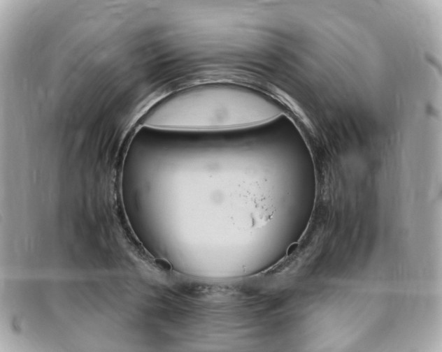 X0000095910786200801110826