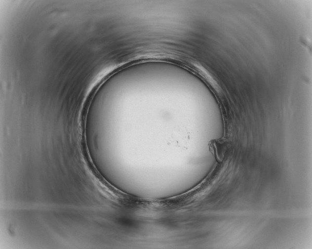 X0000095910787200801110826