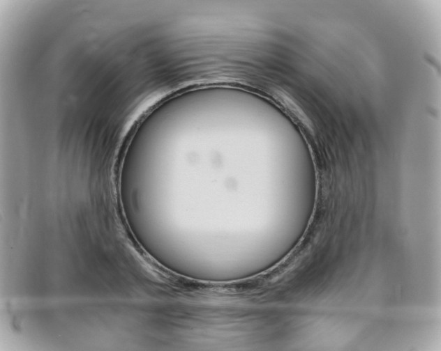 X0000095910789200801110826