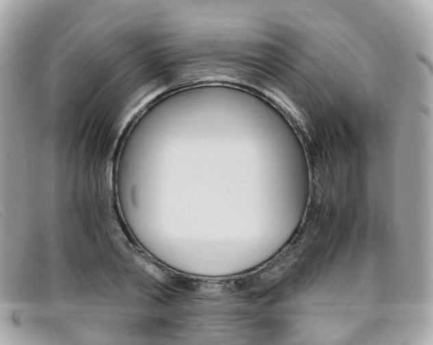 X0000095910790200801110826