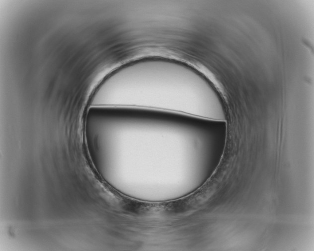 X0000095910791200801110826
