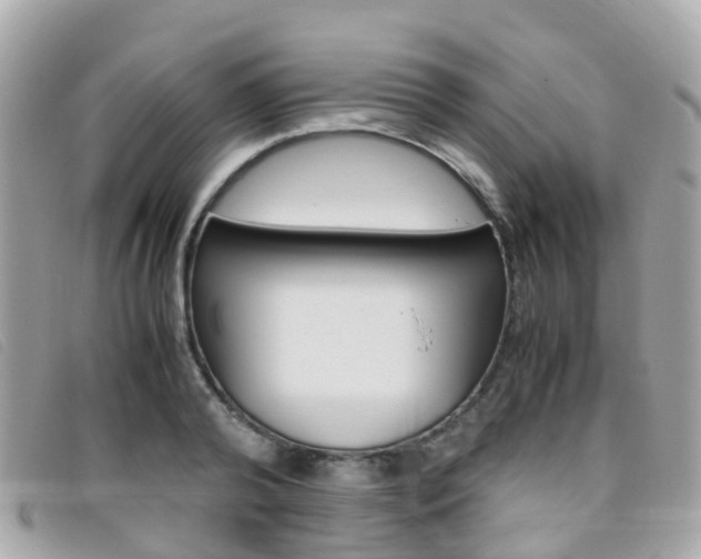 X0000095910792200801110826