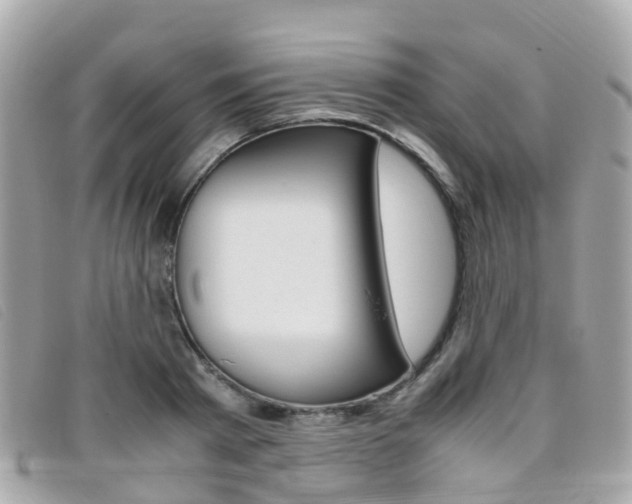 X0000095910793200801110826