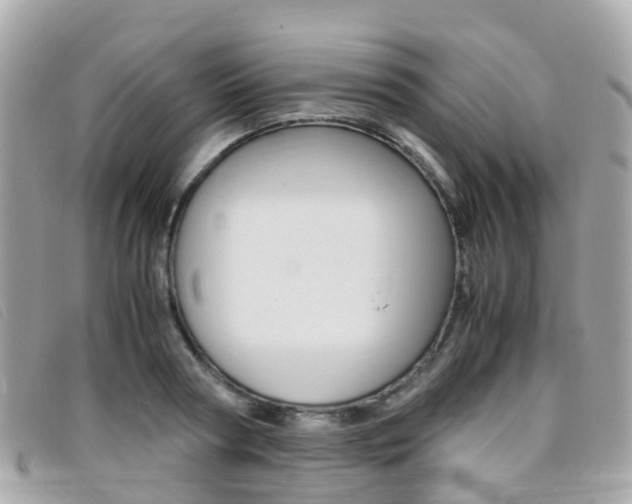 X0000095910794200801110826