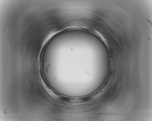X0000095910795200801110826