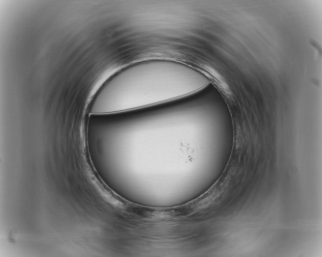 X0000095910796200801110826