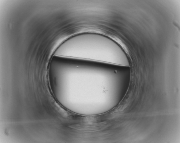 X0000095910799200801110826