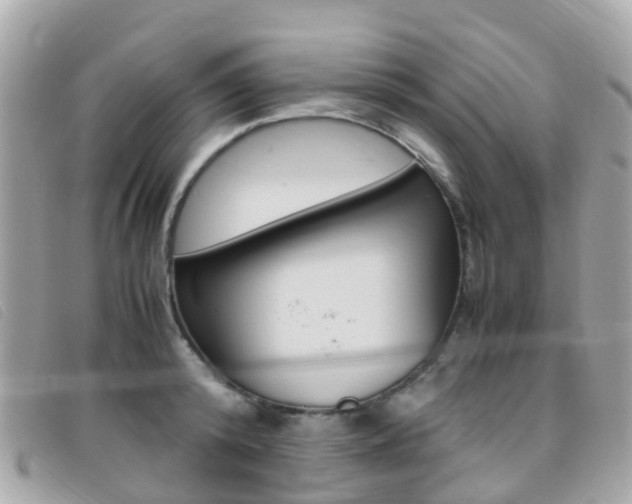 X0000095910800200801110826