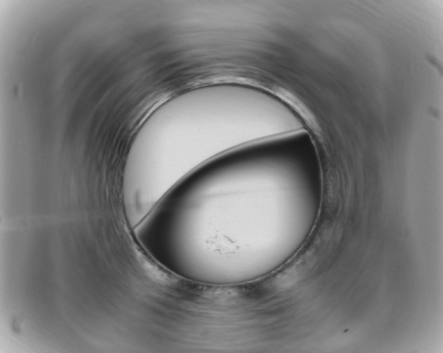 X0000095910801200801110826