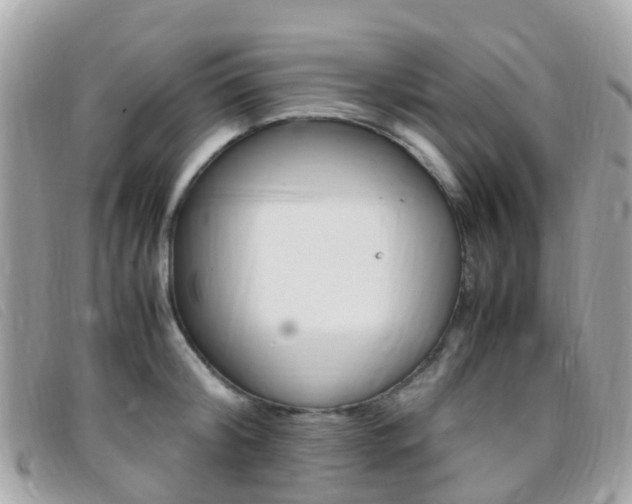 X0000095910804200801110826
