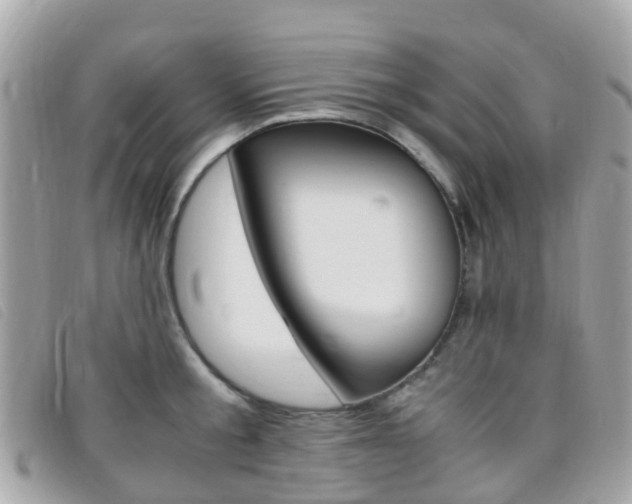 X0000095910805200801110826