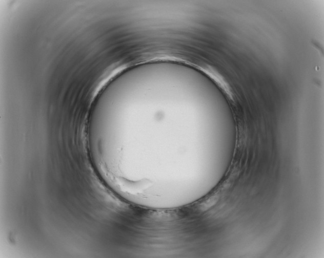 X0000095910806200801110826