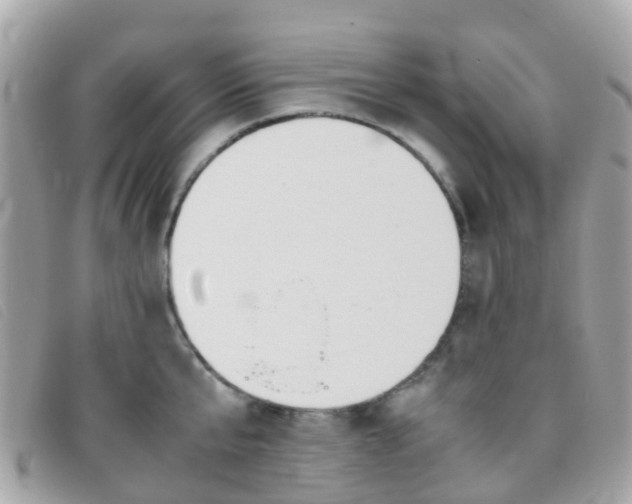 X0000095910807200801110826