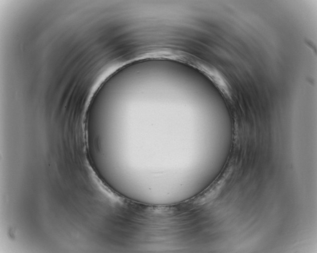 X0000095910808200801110826