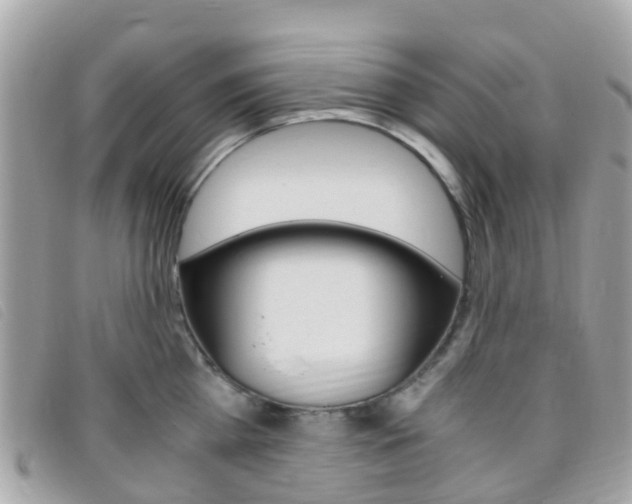 X0000095910809200801110826