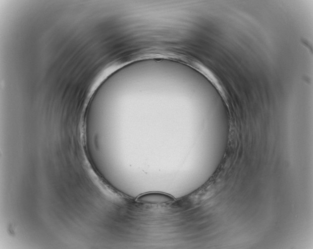X0000095910811200801110826
