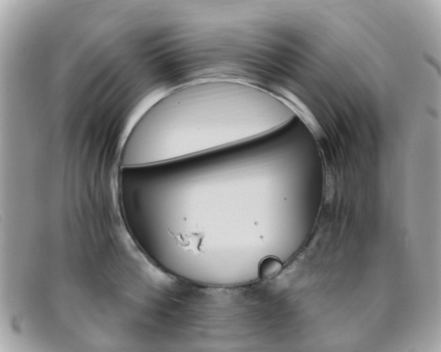 X0000095910812200801110826