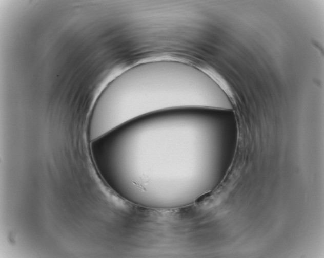 X0000095910813200801110826