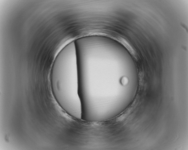 X0000095910814200801110826