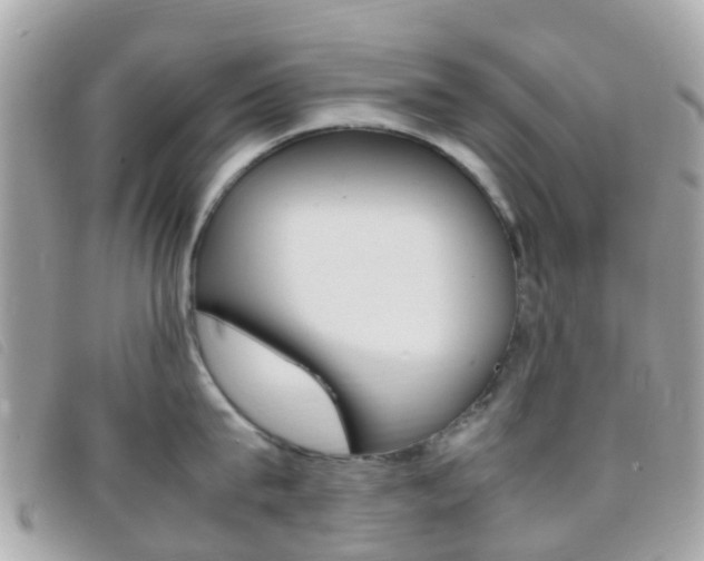 X0000095910815200801110826